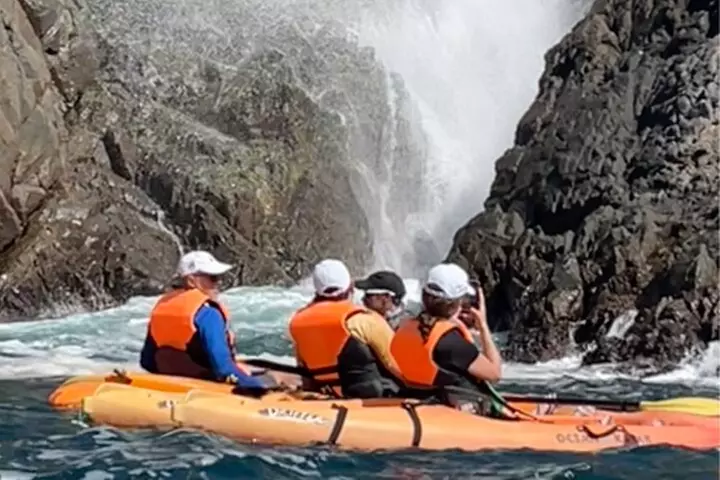 Adventure Tour in Kayak at La Bufadora with Lobster, Oyster Feast