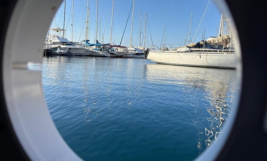 Image 25: Excursiones ecológicas en Catamarán en Gran Canaria