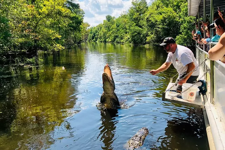 New Orleans Swamp and Bayou Alligator Tour