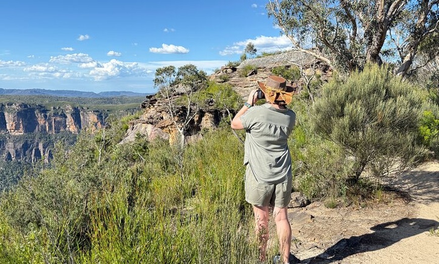 Image 14: Intimate Blue Mountains Wild Kangaroos & Sunset for Nature Lovers