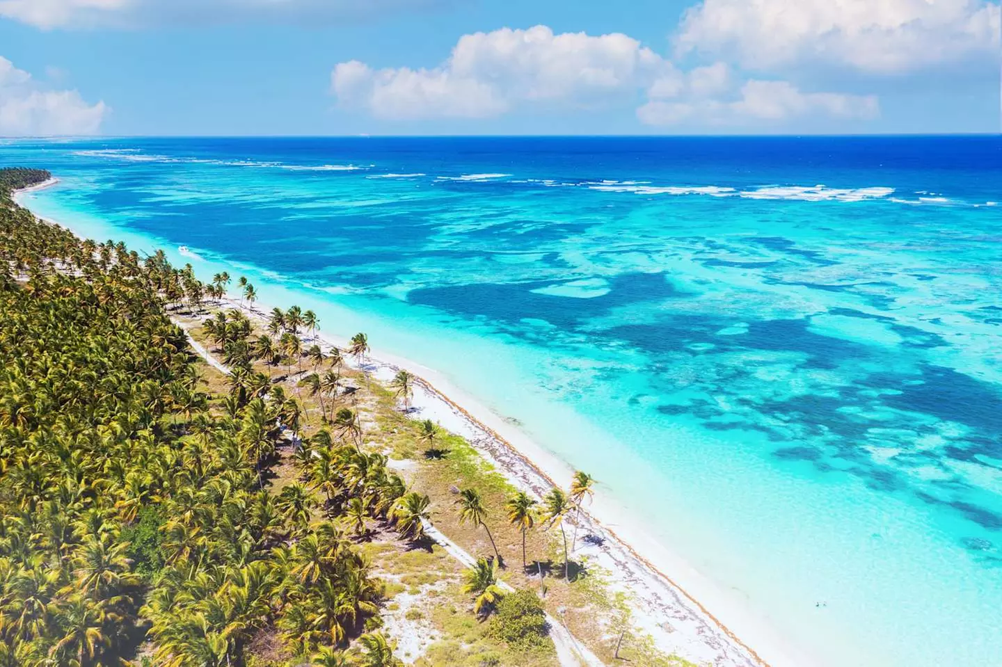 ✈ DOMINIKANISCHE REPUBLIK | Punta Cana - Das Wichtigste über die Do...