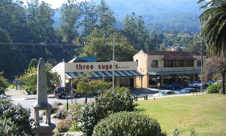 Image 16: Small Group Yarra Valley: Redwoods Forest & Premium Wine Tour