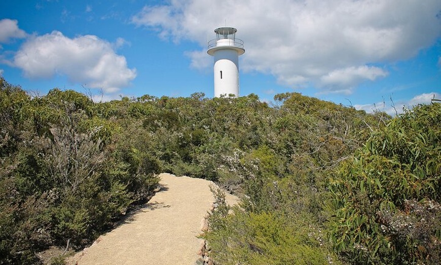 Image 10: 6 Day Island Icons Tassie Day Tour Bundle