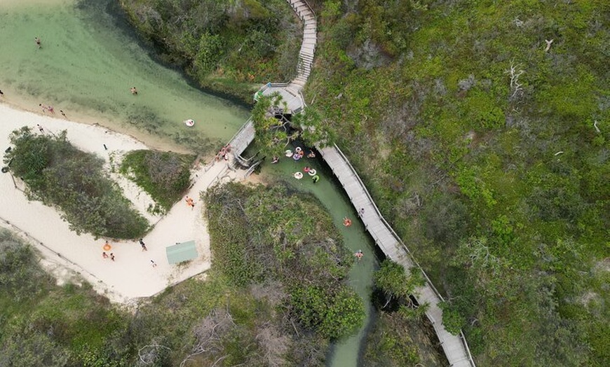 Image 14: Dingos 3 Day K'Gari (Fraser Island) ​4WD Tag-Along Tour