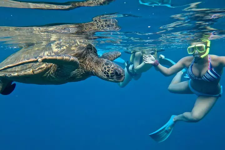 Private Beginner Paddleboard Lesson with Snorkel in Turtle Town - Primary Image