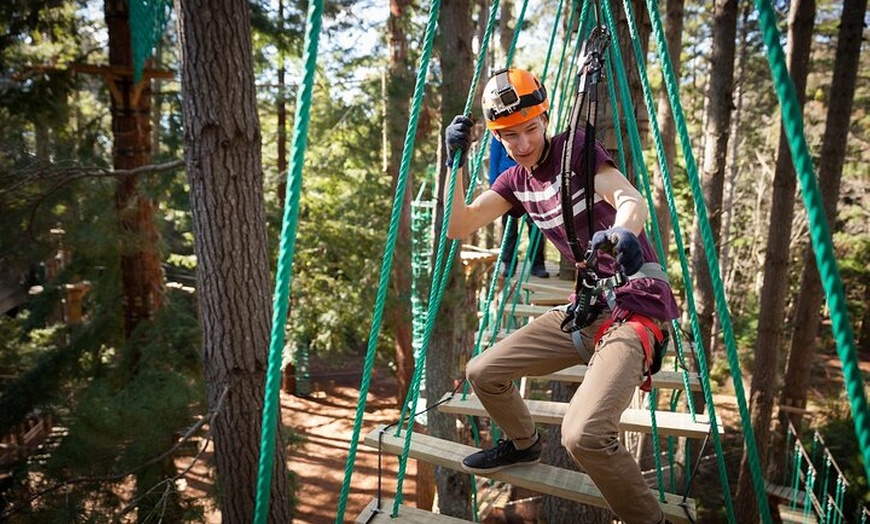 Image 7: Launceston Hollybank Tree Ropes Experience