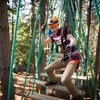 Image 7: Launceston Hollybank Tree Ropes Experience