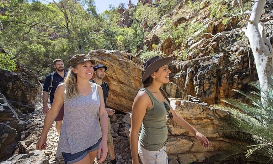 Image 16: 3-Day Kings Canyon & West MacDonnell Ranges 4WD Camping Tour