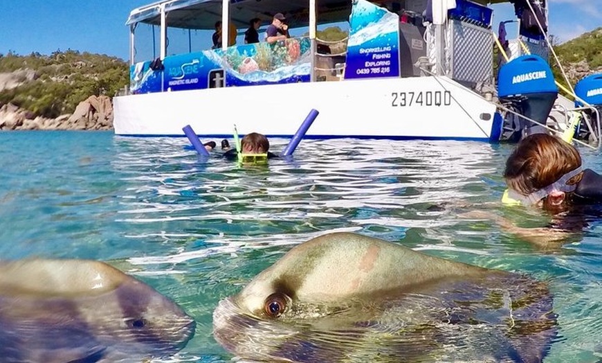 Image 3: Aquascene Magnetic Island Discovery Tour