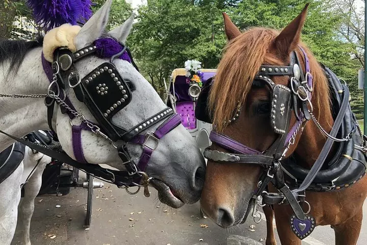 Private NYC Central Park Horse Carriage Ride (Guided) Since 1965™