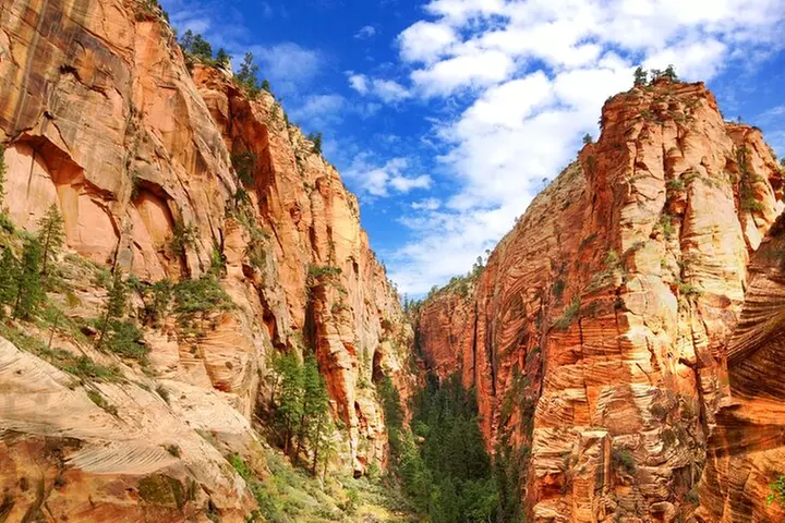 Private 3 Day Spiritual Aerial Adventure Safari