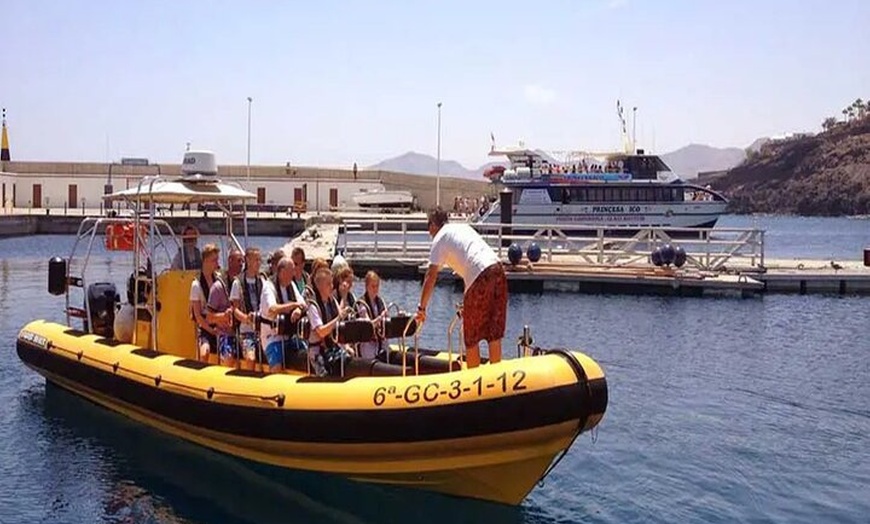 Image 12: Safari marino Delfines en su hábitat natural