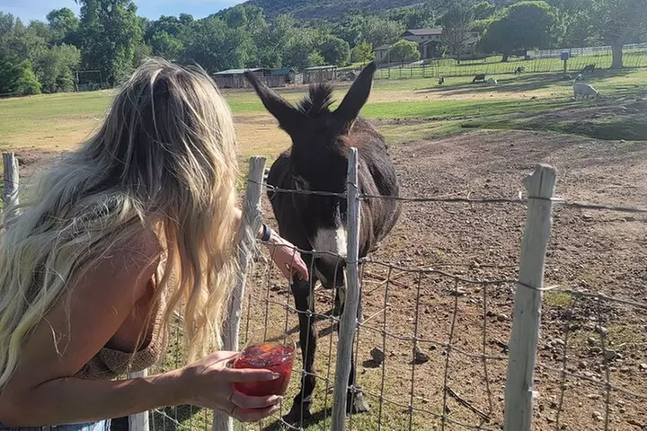 Voted Best in Sedona-Jerome & Vineyards, with Lunch & Tastings