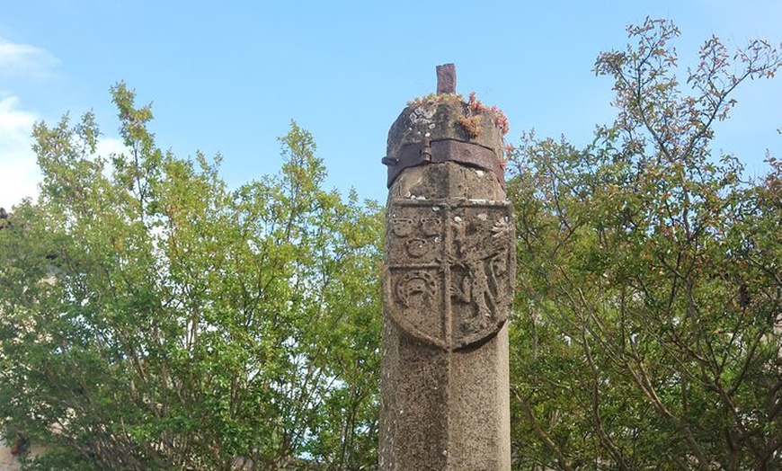Image 15: Pamplona destaca visita a pie con pausa para café y churros
