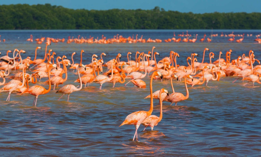 Image 19: ✈ MEXIQUE | Cancun - Âme du Yucatan, 13 nuit - Autotour