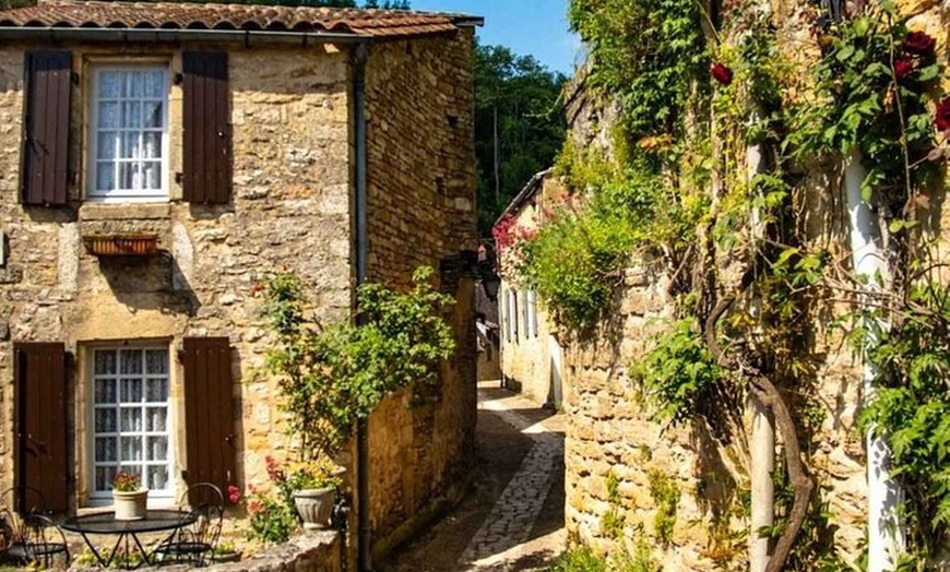 Image 2: Excursion d'une journée complète de Bordeaux à Saint Émilion avec d...