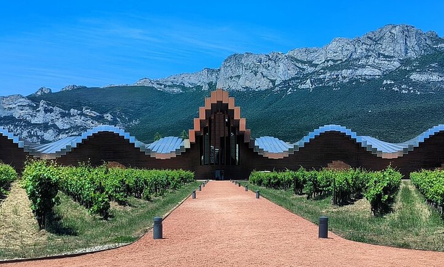Image 23: Rioja Alavesa: Auténticas experiencias de vino