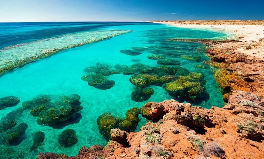 Image 20: Perth to Exmouth & Ningaloo Reef 8 Day Small-Group Boutique Tour