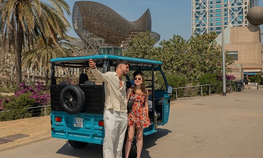 Image 10: Tour panorámico privado por Barcelona