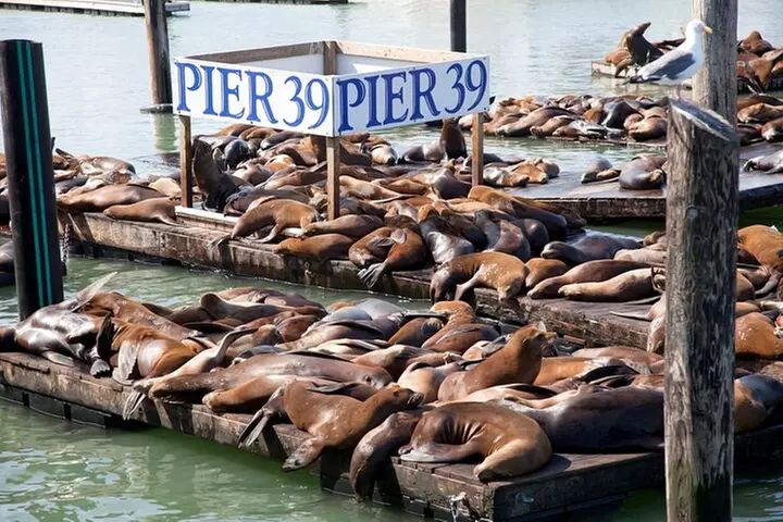 San Francisco Grand City Tour