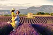 Expérience Provence immersive de 3 jours à Aix en Provence - Image 2