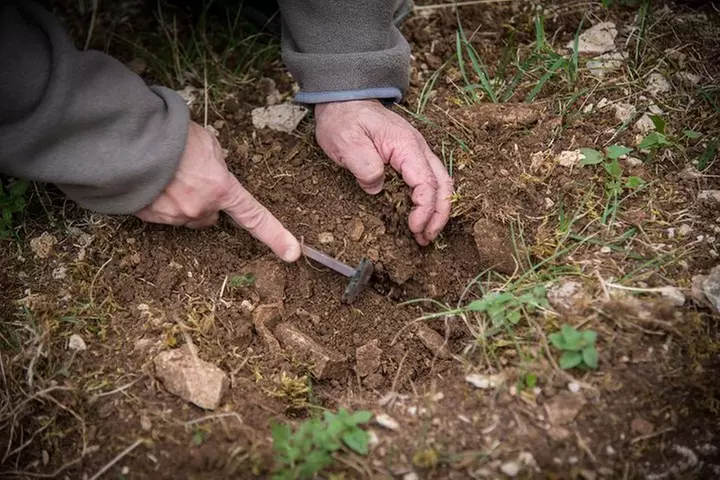 Découverte de l'univers de la Truffe et dégustation