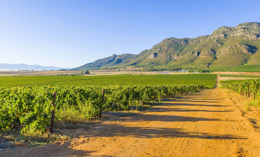 Image 12: ✈ AFRIQUE DU SUD | De Cap Town à Johannesburg - Sur les routes de l...