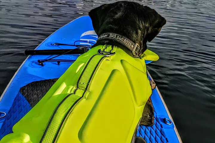 Paddle Board Picnics Lessons Rentals and Outdoor Adventures