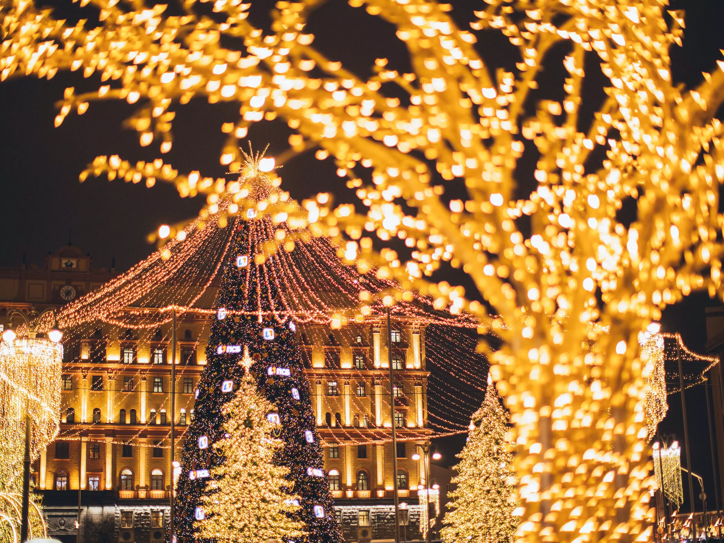 Manhattan Christmas Lights Tour by Foot & Train - Primary Image