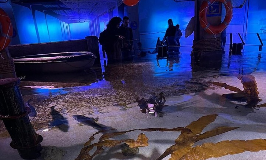 Image 18: Luxury Private Tour in London