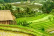 ✈ BALI | Ubud & Nusa Dua - Escapade Romantique à Bali 5*, 9 nuit - Circuit - Second Medium