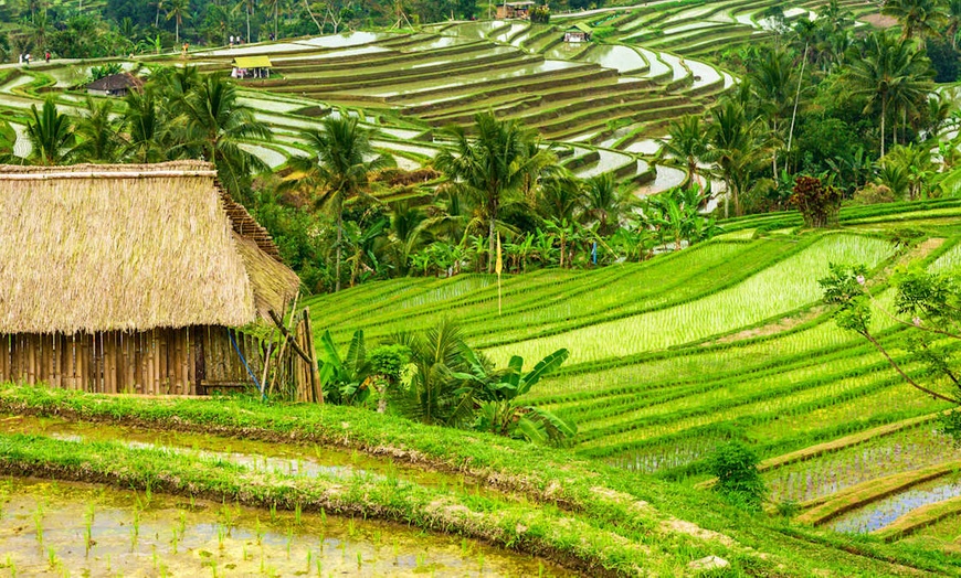 Image 5: ✈ BALI | Ubud & Nusa Dua - Escapade Romantique à Bali 5*, 9 nuit - ...