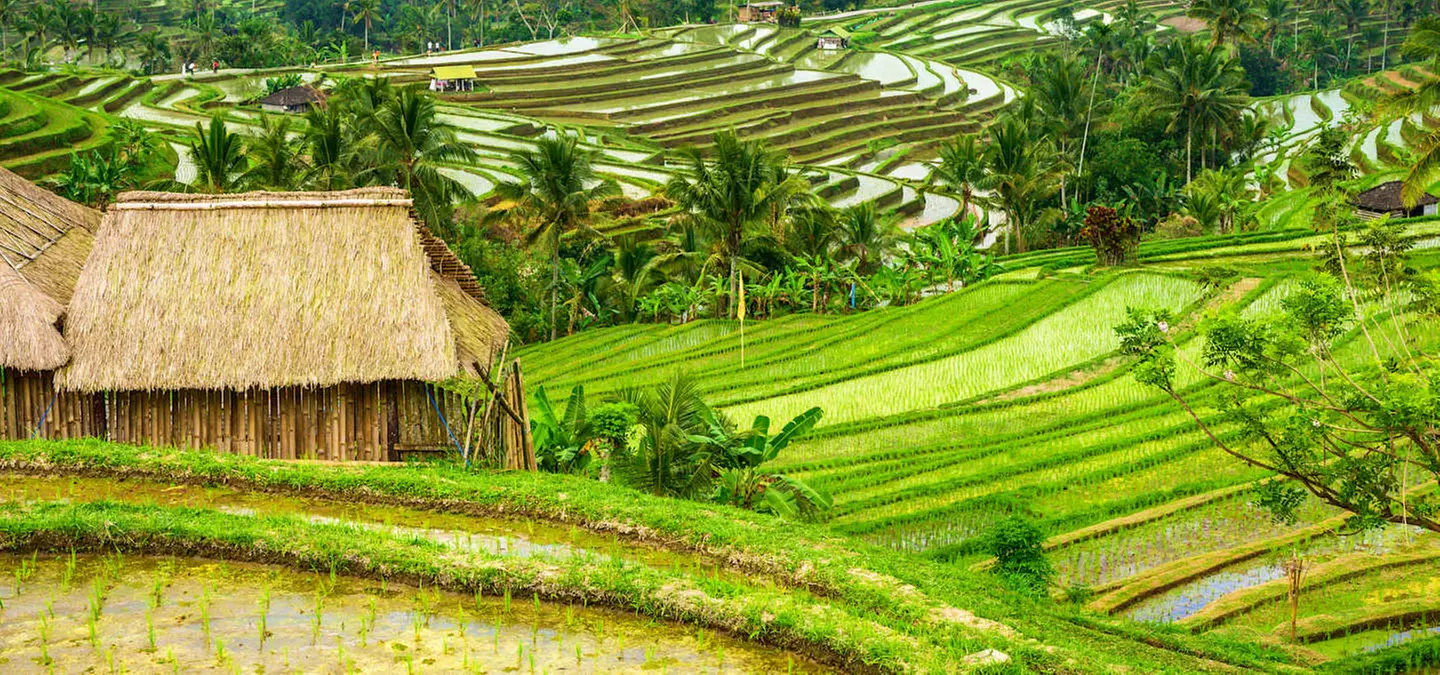 ✈ BALI | Ubud & Nusa Dua - Fuga Romantica a Bali 5*, 9 notti - Tour