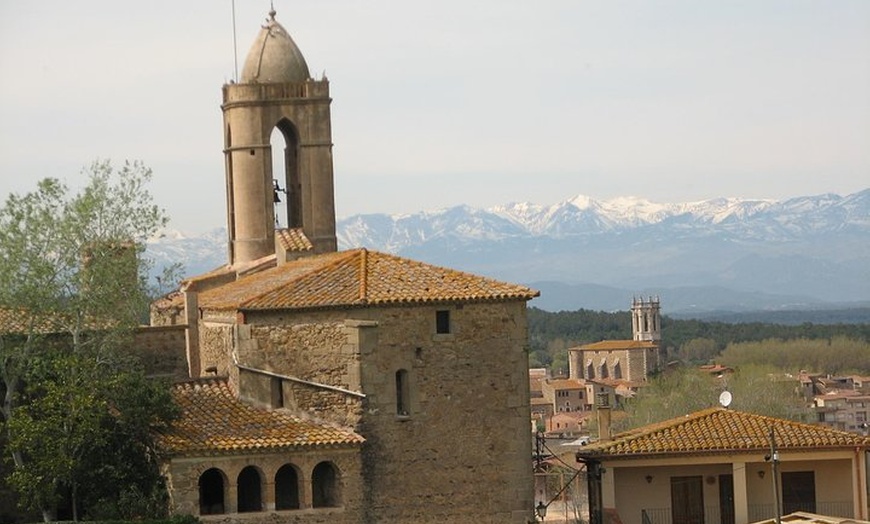 Image 3: Museo privado Dalí Figueres y tour de Pubol desde Barcelona
