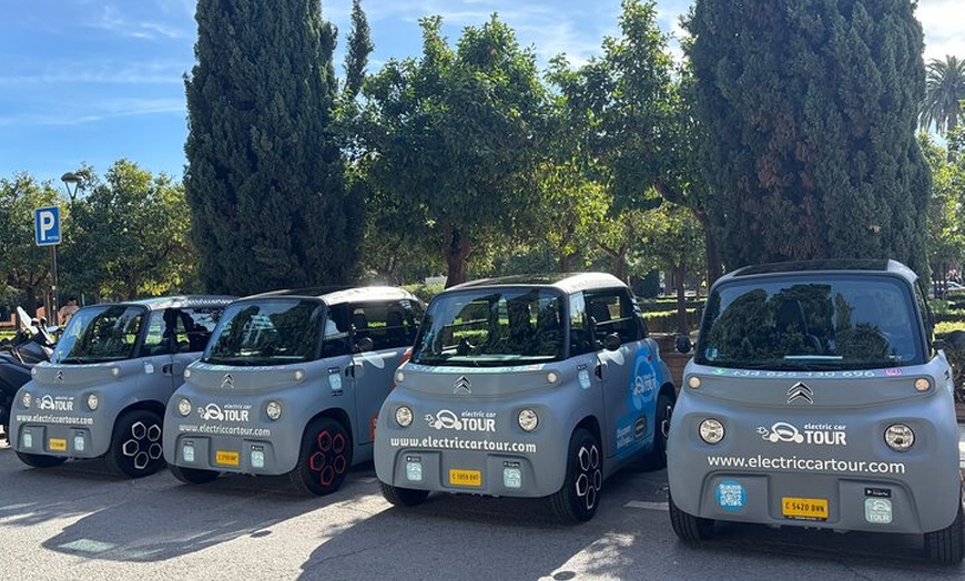 Image 13: Visita La Cueva del Tesoro en coche eléctrico en Málaga
