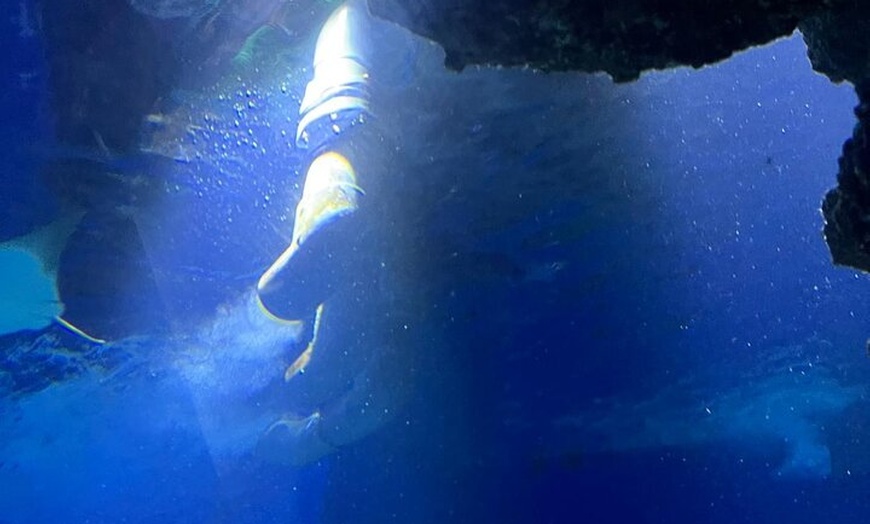 Image 26: London Walking Tour VIP