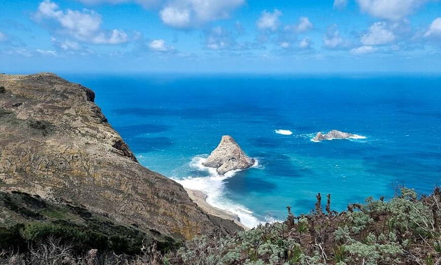 Image 3: Hidden Tenerife - Reserva Anaga a pie