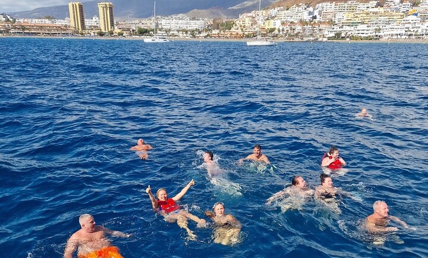 Image 10: Crucero con Bebidas, Avistamiento de Ballenas y Tiempo para Nadar
