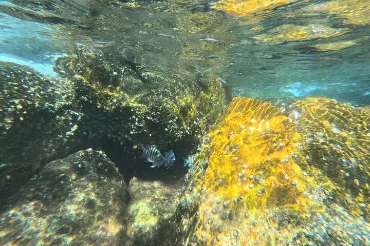 Experience Peanut Island Adventures with Go Pro