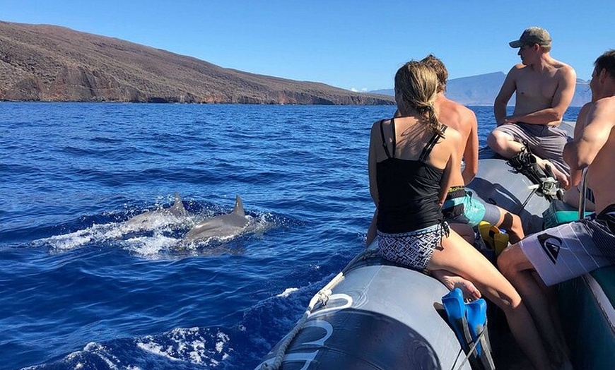 Image 6: Maui to Lanai Semi-Private Eco Raft Snorkel and/or Dolphin Tour