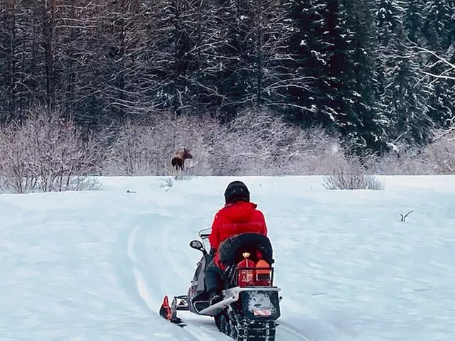 Snowmobile Classic Tour in Kenai Fjords National Park