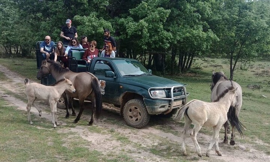 Image 5: Visita Paleolítico Vivo 4x4