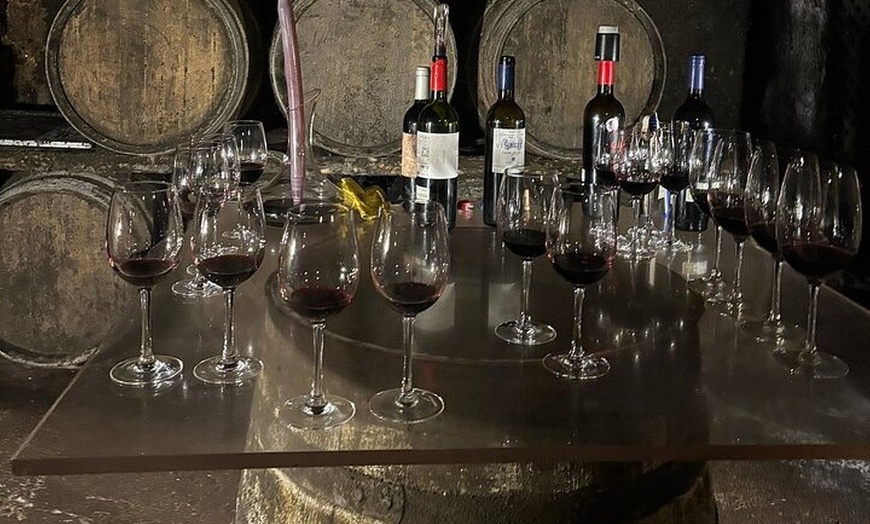 Image 21: Rioja Alavesa: Auténticas experiencias de vino