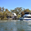 Image 2: Murray River Lunch Cruise