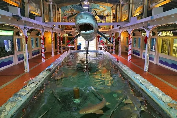 Fort Lauderdale to Key West Tour with Optional Add-ons