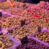 Image 4: Visita guiada al mercado de Málaga Atarazanas con degustaciones