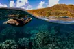 First Timers and Non-Swimmers Snorkeling Experience in Wailea - Second Medium
