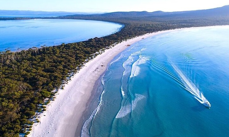 Image 4: Maria Island 3 hours and 30 mins Scenic Cruise