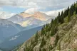 Private Colorado Backcountry 4x4 Off Road Adventure Tour - Second Medium