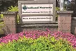 $20 For $40 Toward Plants, Shrubs & More - Second Medium